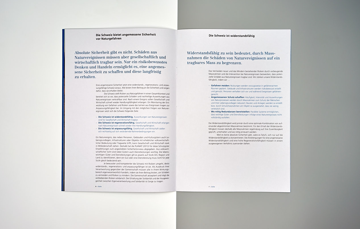 Strategie Umgang mit Risiken aus Naturgefahren Inhalt