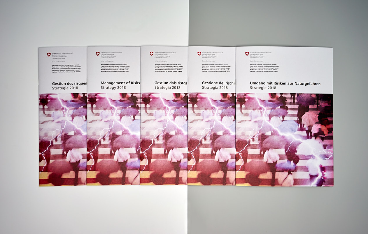 Strategie Umgang mit Risiken aus Naturgefahren