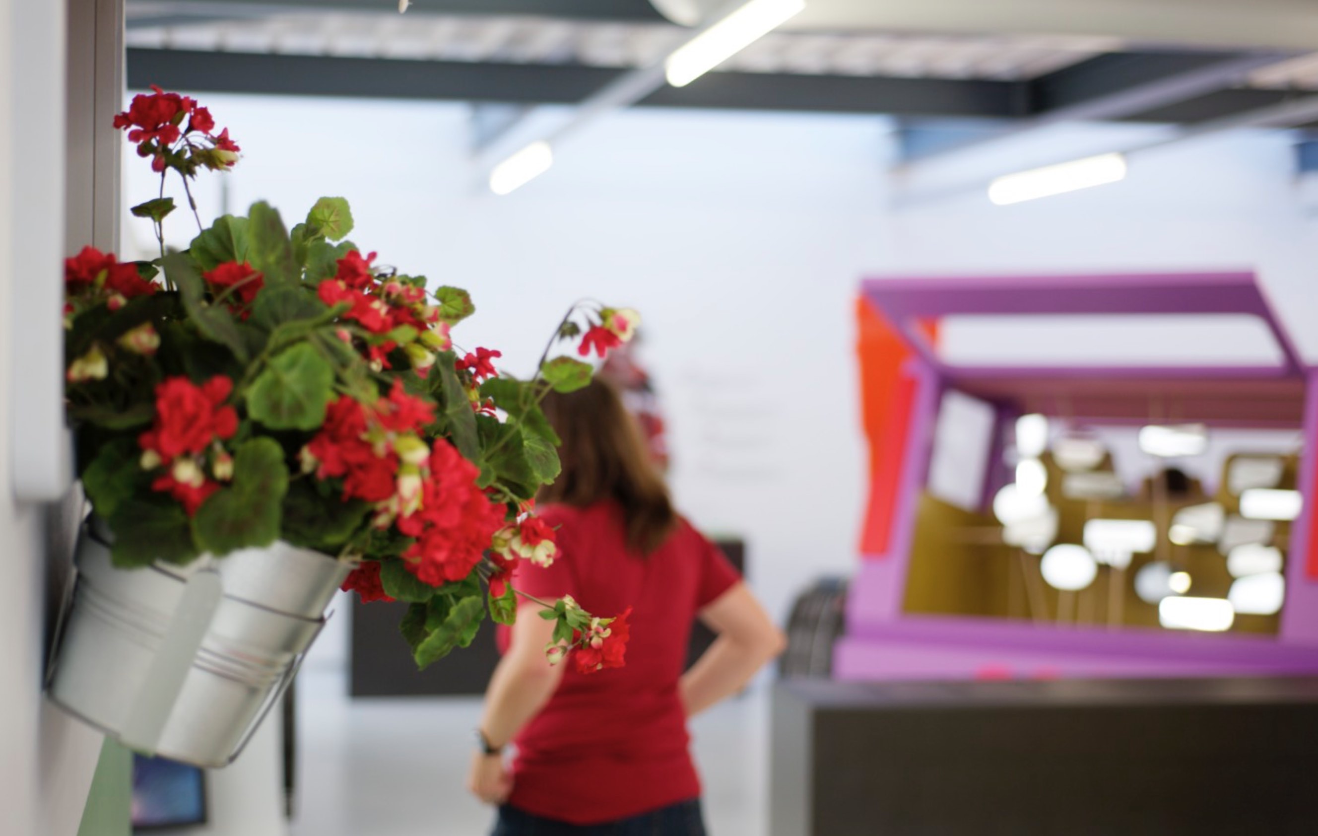 Infopavilion Szenografie