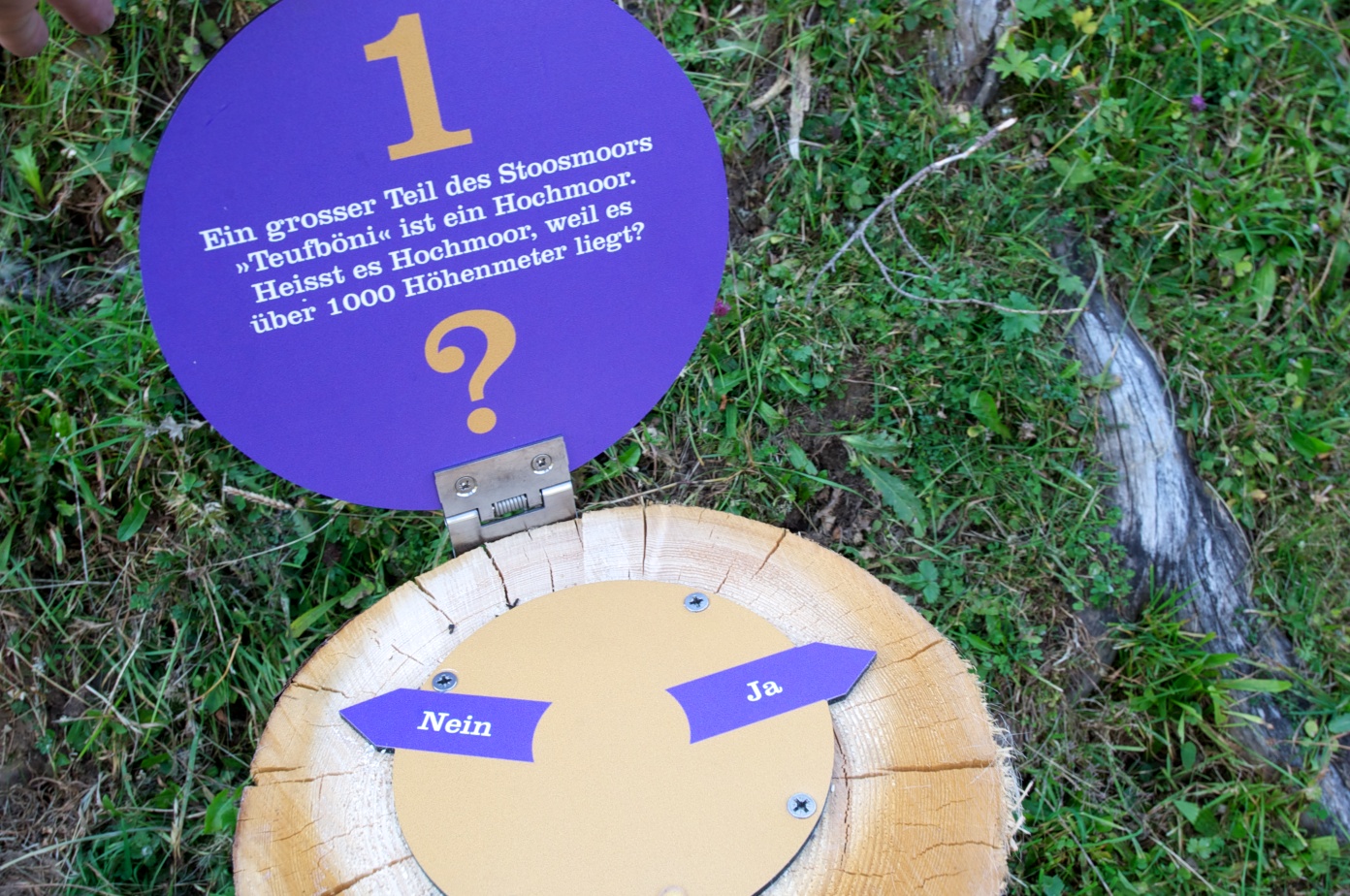 Moorerlebnis Stoos
