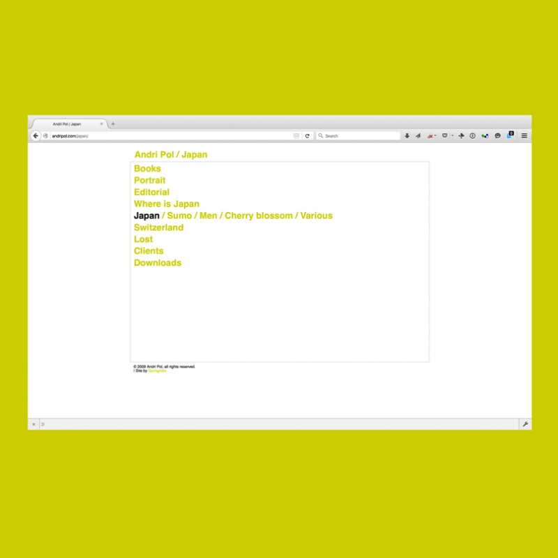 Website Gestaltung Andri Pol