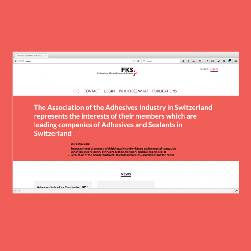 Website Gestaltung FKS