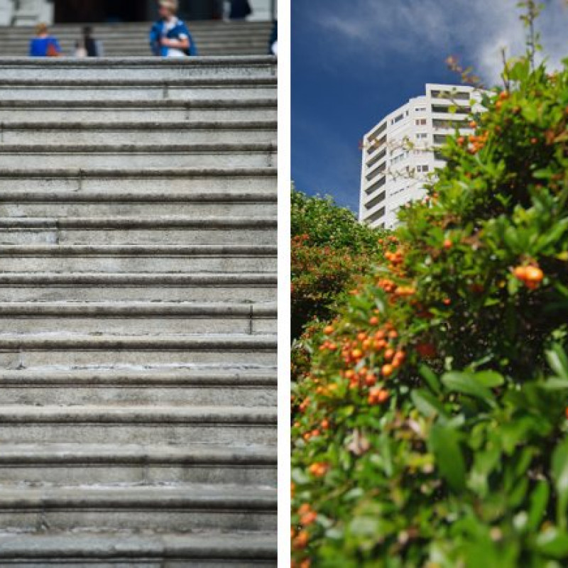 Fotografien Renato Regli