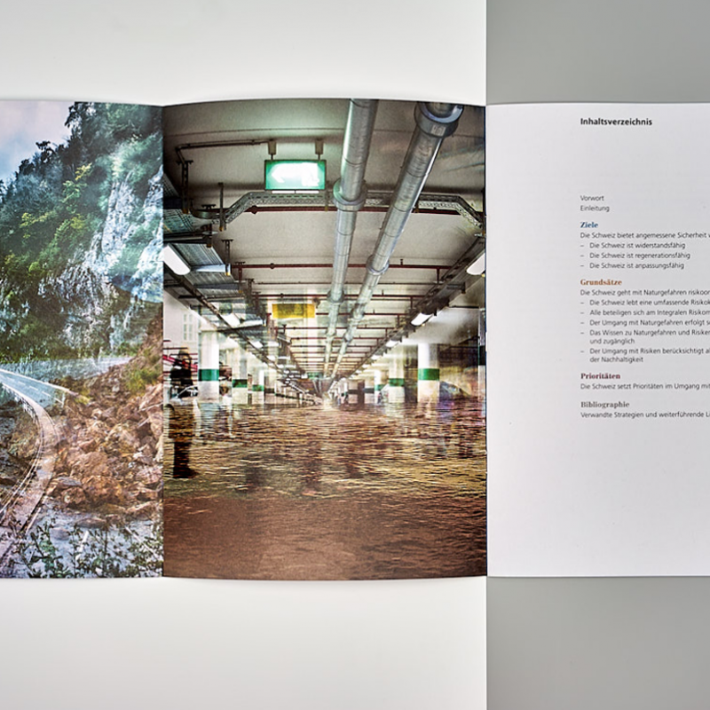 Strategie Umgang mit Risiken aus Naturgefahren Umschlag