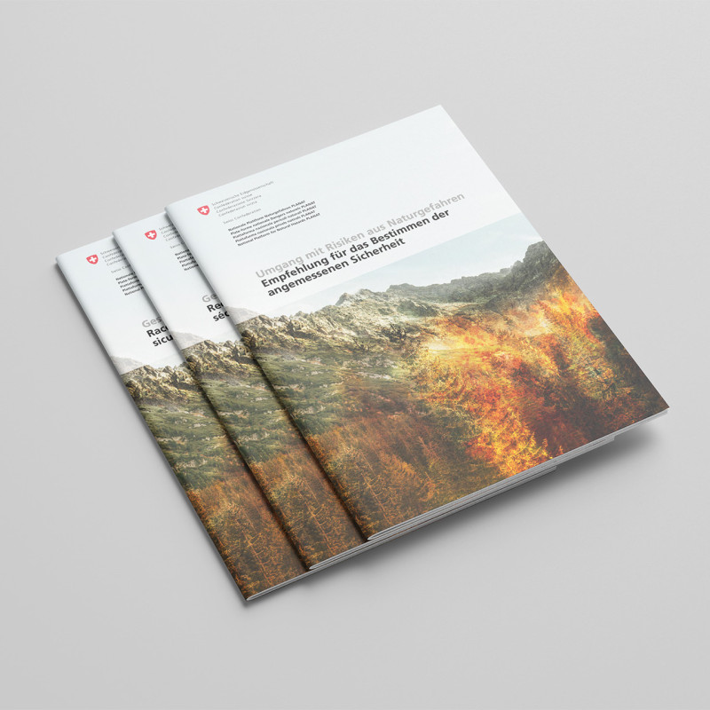 Umgang mit Risiken aus Naturgefahren: Empfehlung für das Bestimmen der angemessenen Sicherheit (2026)